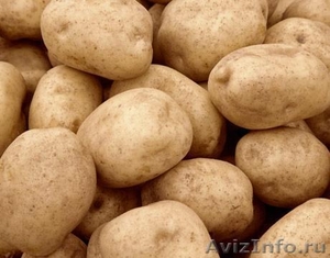 Предлагаем со слада оптом картофель и лук - Изображение #1, Объявление #1437421