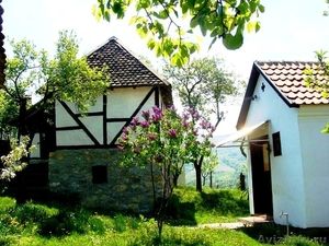 Частное хозяйство Бањевац, Сербия - Изображение #5, Объявление #1449234