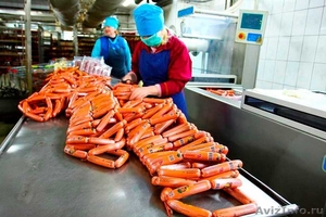  На работу в Польше нужны упаковщики колбасных изделий - Изображение #2, Объявление #1468420