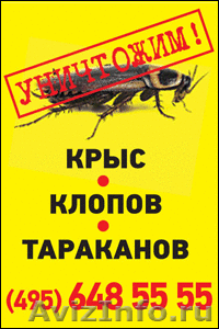уничтожение клопов в истре, уничтожение клопов в москве - Изображение #3, Объявление #1468727