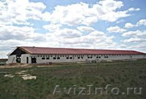 Продается свино-товарная ферма с земельным участком - Изображение #1, Объявление #1449256