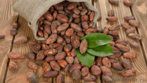 Прямые поставки какао-продуктов оптом. - Изображение #2, Объявление #1511405
