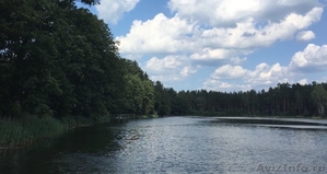 Лесной участок 3 Га на берегу озера в литовском курорте Друскининкай - Изображение #1, Объявление #1511165