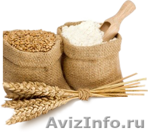 Мука пшеничная высший сорт, 1-2 сорт - Изображение #1, Объявление #1540517