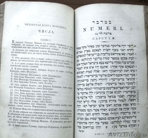 Редкое издание. Ветхий Завет, т.1 1877 год. - Изображение #8, Объявление #1473201