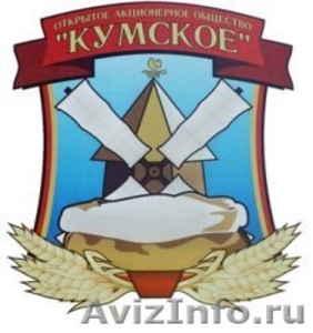 Пшеничная мука от производителя