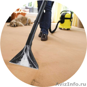 Химчистка у Вас дома --> Успей почистить - Изображение #2, Объявление #1570976