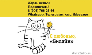 Безлимитный тариф Билайн без роуминга по всей России - Изображение #2, Объявление #1581911