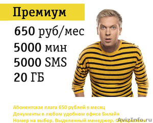 Безлимитный тариф Билайн без роуминга по всей России - Изображение #1, Объявление #1581911