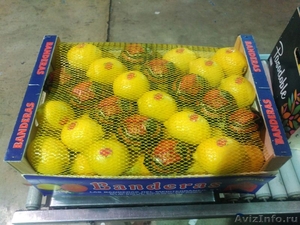 Испанские Лимоны - Изображение #5, Объявление #1494085