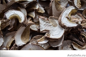 Белый гриб сушеный с Алтая - Изображение #2, Объявление #1595530