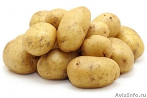Качественный семенной картофель от производителя - Изображение #1, Объявление #1593463