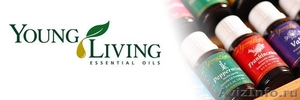 Эфирные масла и другая продукция Young Living Янг Ливинг - Изображение #1, Объявление #1609713