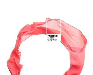 Кашемировые палантины, шарфы от производителя - Изображение #3, Объявление #1651557