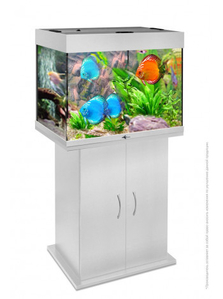 Магазин аквариумов Seaprice в Москве. Аквариумы, террариумы, оборудование - Изображение #6, Объявление #1658347