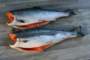 Рыба и морепродукты в розницу по оптовым ценам - Изображение #3, Объявление #1671854