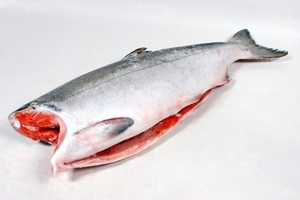 Рыба и морепродукты в розницу по оптовым ценам - Изображение #4, Объявление #1671854