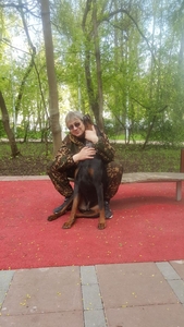 Кинолог: профессиональная дрессировка собак в Москве - Изображение #6, Объявление #1686004