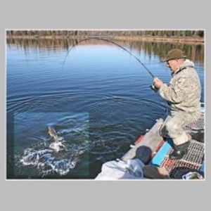 Рыбалка в Тыве - Изображение #3, Объявление #1684303