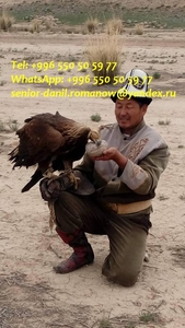 Гид, водитель, туры в Кыргызстане, туризм, путешествия, горы, трэки в Киргизии - Изображение #3, Объявление #1685023