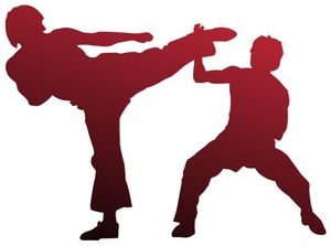Детский домашний тренер по каратэ Kyokushinkai в Измайлово. - Изображение #1, Объявление #1694945