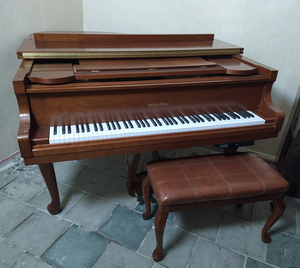 Пианино и рояли от ведущих мировых производителей - Изображение #5, Объявление #1699847