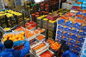 "БФ Компани" Торговля оптовая фруктами и овощами - Изображение #2, Объявление #1703865