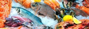 ПРОФИТ Торговля оптовая рыбой - Изображение #3, Объявление #1708110