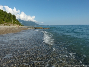 Отдых в Абхазии 2021 года у моря "Гребешок" - Изображение #3, Объявление #1709589