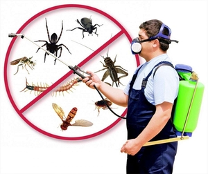 Товары для борьбы с насекомыми и грызунами. - Изображение #1, Объявление #1718427