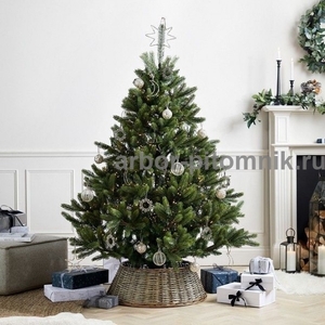Новогодние елки, датские пихты срезанные и в горшках - Изображение #1, Объявление #1718590
