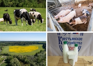 Фермерское хозяйство в Московской области: молочные и мясные продукты - Изображение #1, Объявление #1720402