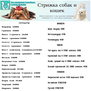 Стрижка собак и кошек всех пород Москва Измайлово - Изображение #6, Объявление #1716844