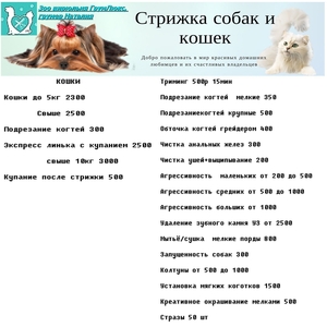 Стрижка собак и кошек всех пород Москва Измайлово - Изображение #7, Объявление #1716844