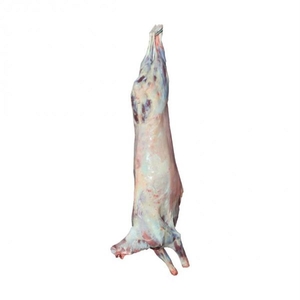 Мясо оптом, говядина, курица, свинина, субпродукты - Изображение #4, Объявление #1723295