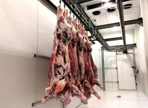 Поставка оптом мяса говядины, свинины, куриного - Изображение #1, Объявление #1729999