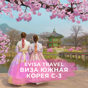Виза C-3 в Южную Корею для граждан РФ, находящихся на территории Казахстана - Изображение #1, Объявление #1742509