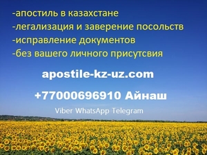Помощь с документами из Казахстана любой сложности - Изображение #1, Объявление #1745140