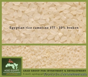 Египетский круглозёрный рис Camolino - Изображение #1, Объявление #26386