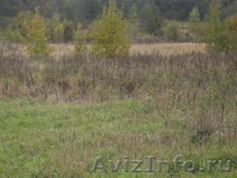 Участок - Новорижское шоссе-120 км. Земля под поместье. Участок 75 соток. - Изображение #1, Объявление #178744