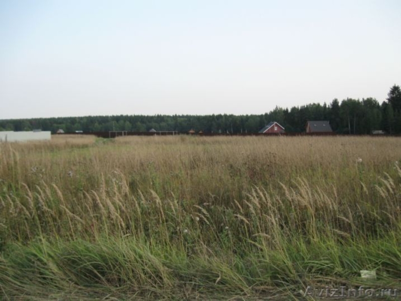 Продам участок 30сот. д. Головково, ленинградское 55км от Мкад, ИЖС, - Изображение #1, Объявление #385342