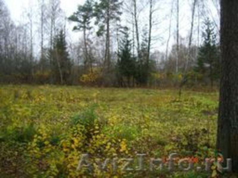 Продается лесной участок площадью 5 га  - Изображение #1, Объявление #587310