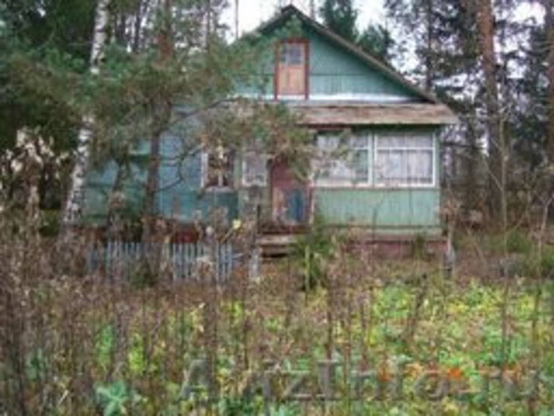 Продается лесной участок площадью 5 га  - Изображение #2, Объявление #587310