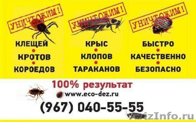 Уничтожение клещей./ - Изображение #2, Объявление #920643