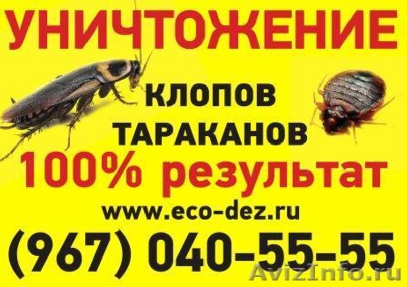 Уничтожение клопов... - Изображение #2, Объявление #934834