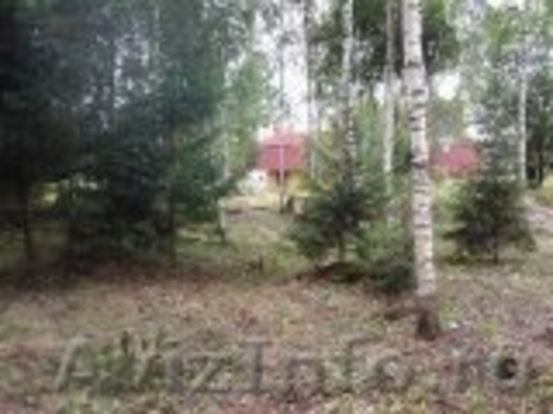 Участок 12 соток в СНТ Истринского района в районе д. Парфенки - Изображение #1, Объявление #964519