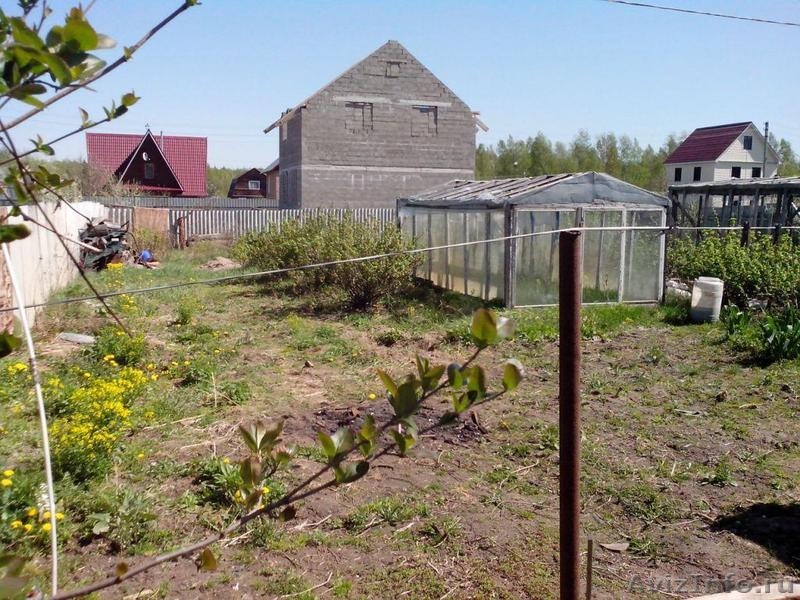 Участок в Подмосковье по Горьковскому шоссе д. Аборино 27 км от МКАД - Изображение #2, Объявление #1095908