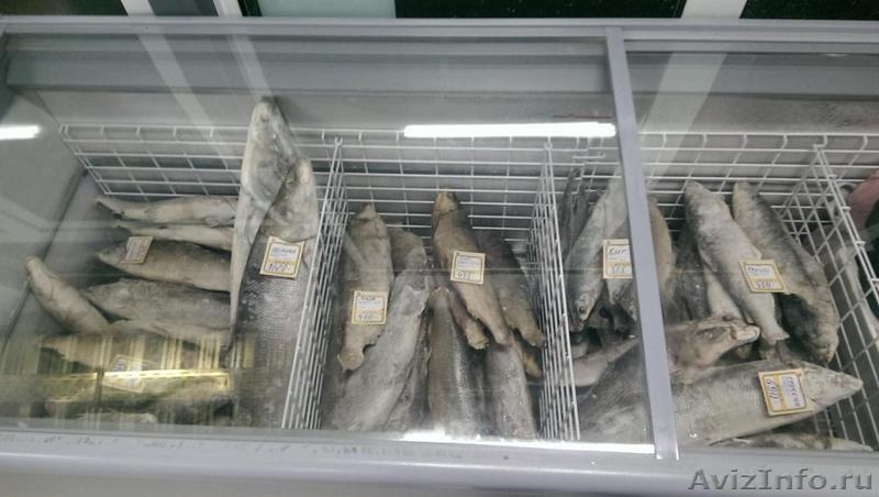 Опт Розница Рыба в наличии в Москве Свежемороженая с Якутии, р. Лена! Заморозка! - Изображение #1, Объявление #1390460