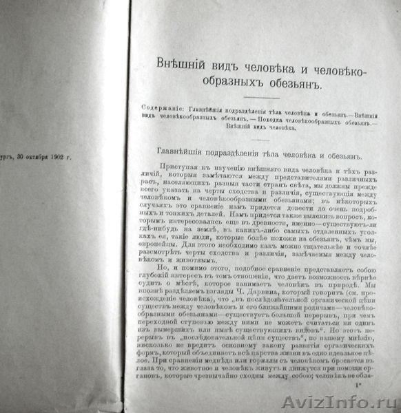 Раритет,  книга профессора Ранке 1902 года. - Изображение #2, Объявление #986300