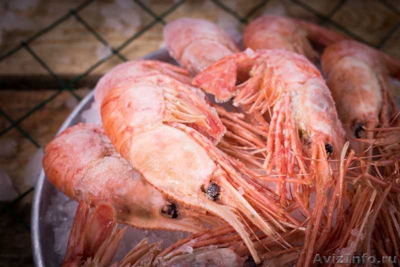 дикая рыба и морепродукты с Охотского моря - Изображение #2, Объявление #1638078